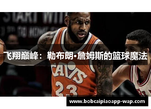 飞翔巅峰：勒布朗·詹姆斯的篮球魔法
