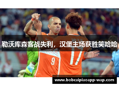 勒沃库森客战失利，汉堡主场获胜笑哈哈